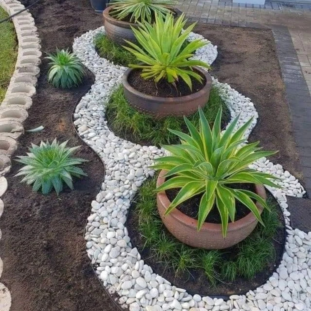 زراعة حدايق - 1