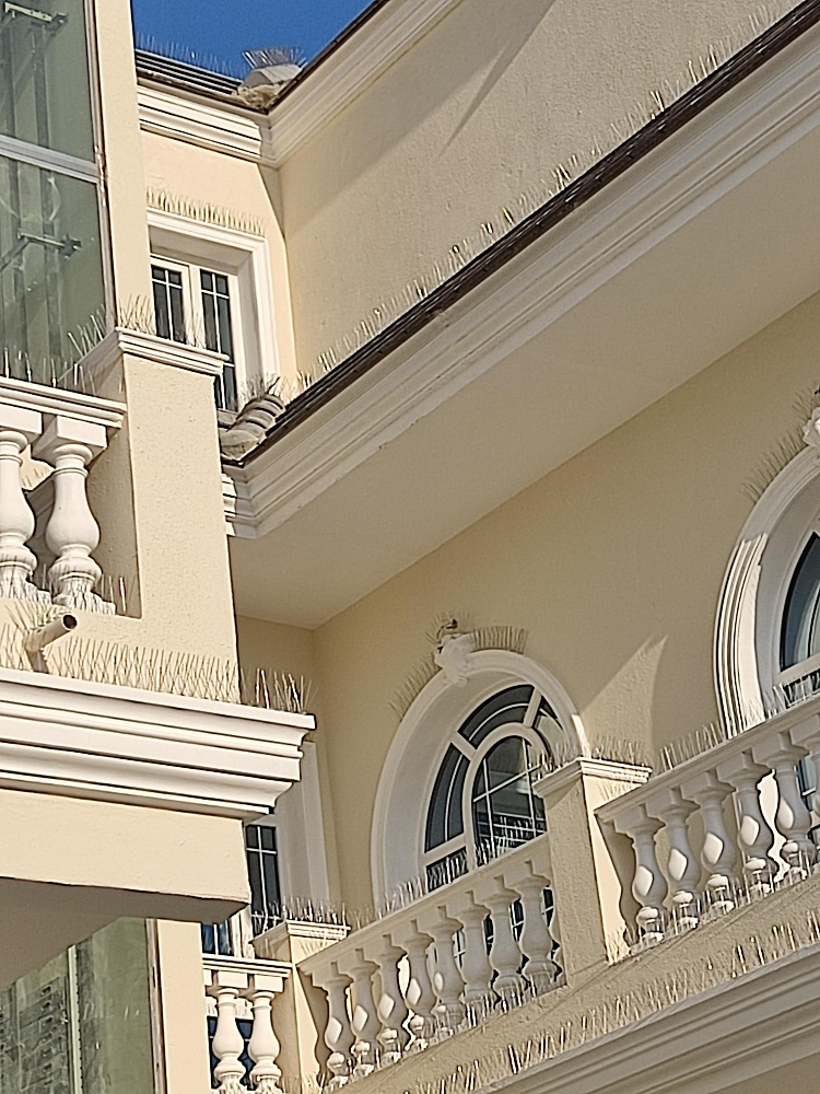 طاردالحمام والطيور70277021 - 9