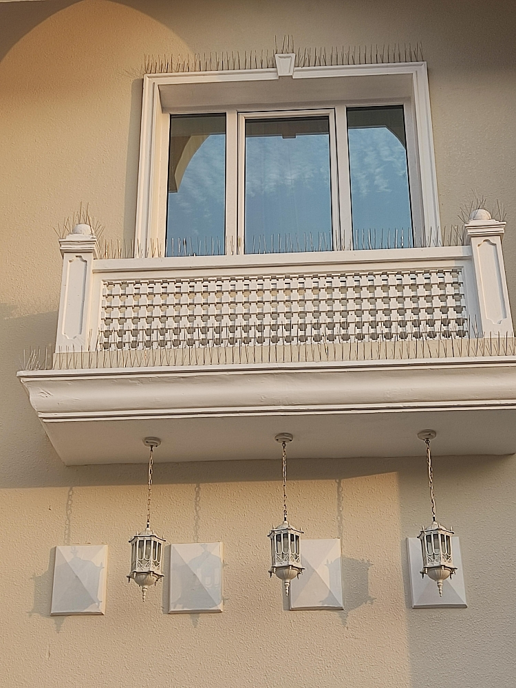 طاردالحمام والطيور70277021 - 7