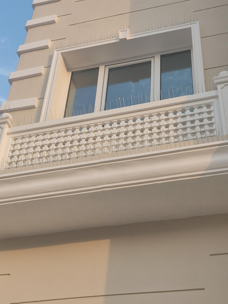 طاردالحمام والطيور70277021 - 8