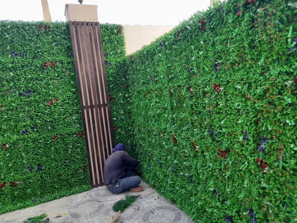 نوفير للبيع - 3