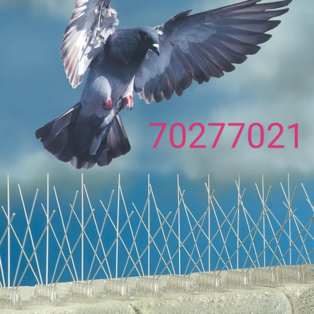 مانع الحمام والطيور70277021 - 1