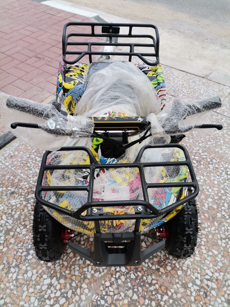 Electric Budbuda  - 2