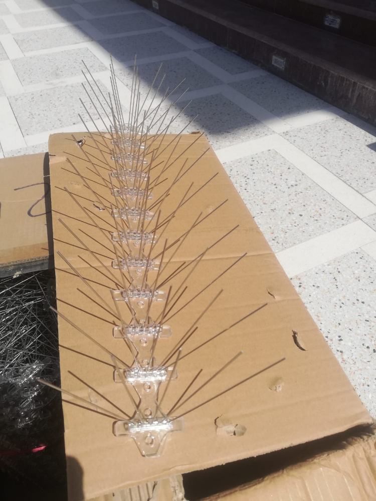 طرادالحمام والطيور 55270957 - 2