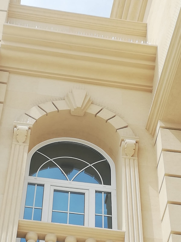طرادالحمام والطيور 55270957 - 7