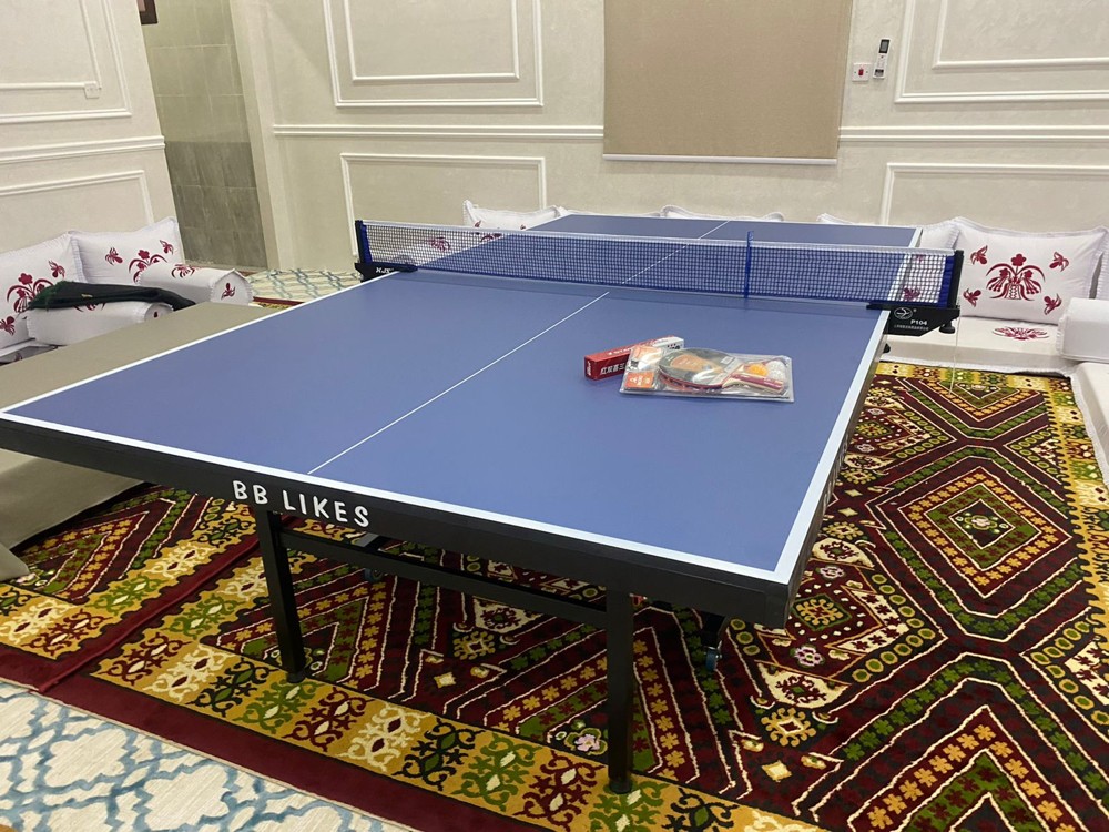 Tennis Table  - 2