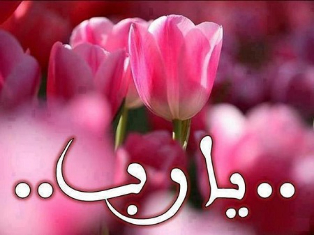 ابحث عن عمل - 1