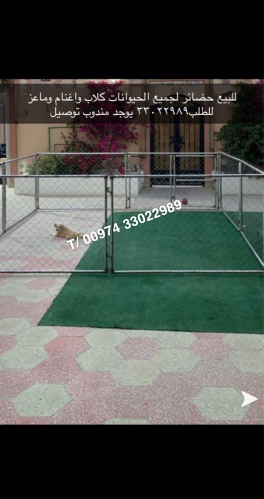 New cage 2 x 2 for sale - 3