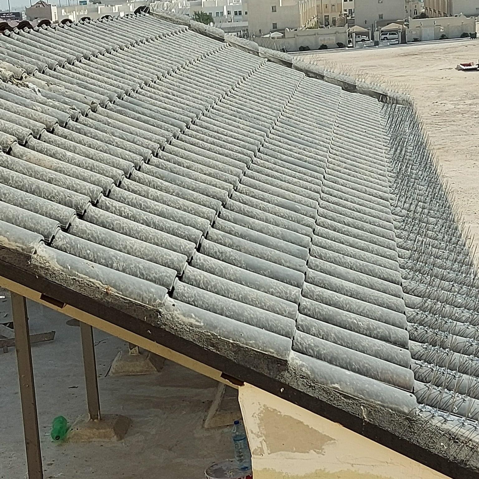 حافظ على واجهة منزلك من الطيور - 5