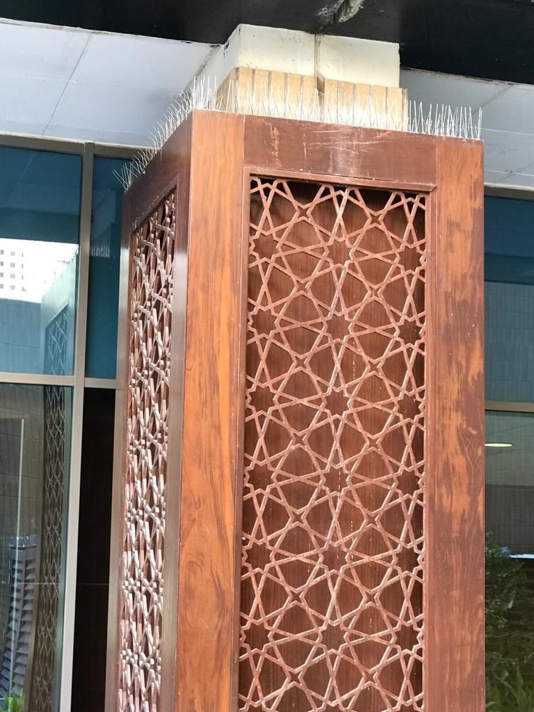 حافظ على واجهة منزلك من الطيور - 13