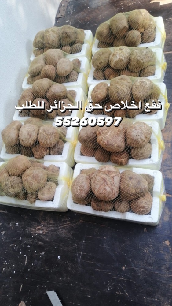 فقع اخلاص حق الجزائر  - 4