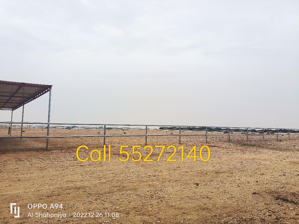 Camel Tobala and Pence. For call - 1