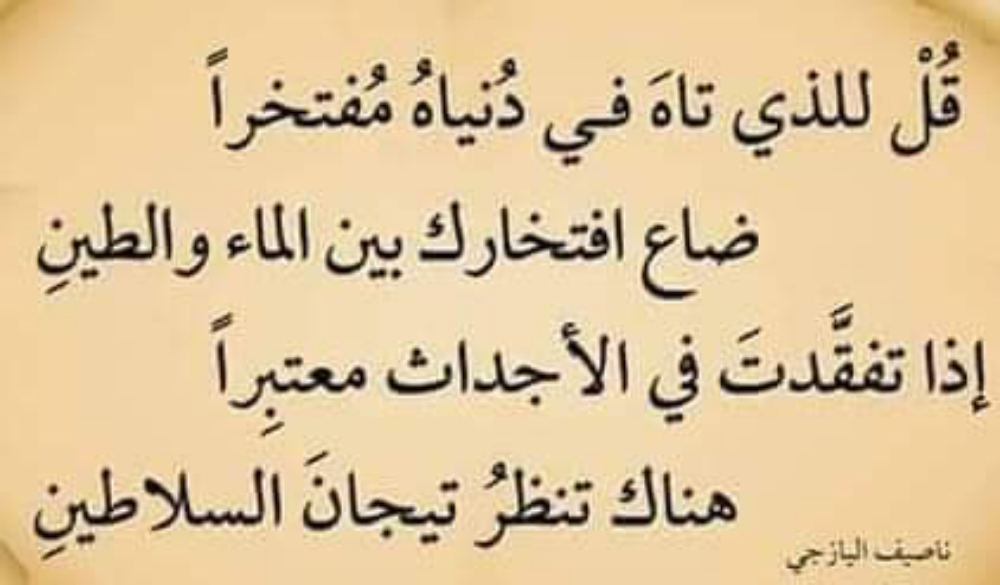 مدرس مصري متخصص فى اللغه العربيه - 1