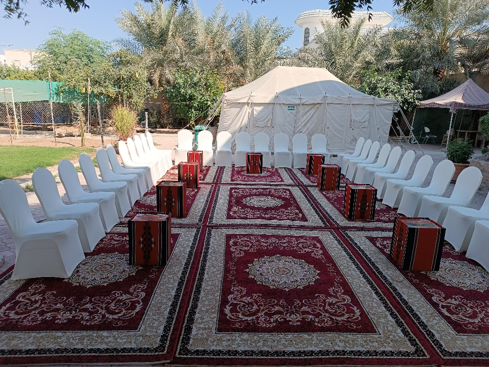 فرش سجاد داحل البيوت كراسي مخمل - 2