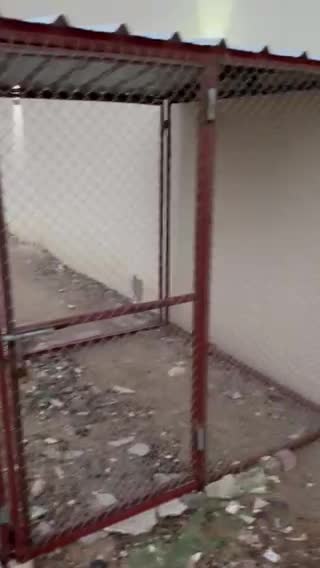 Pigeon cage - 1