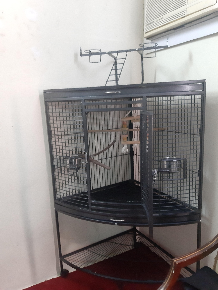 big parrot cage - 2