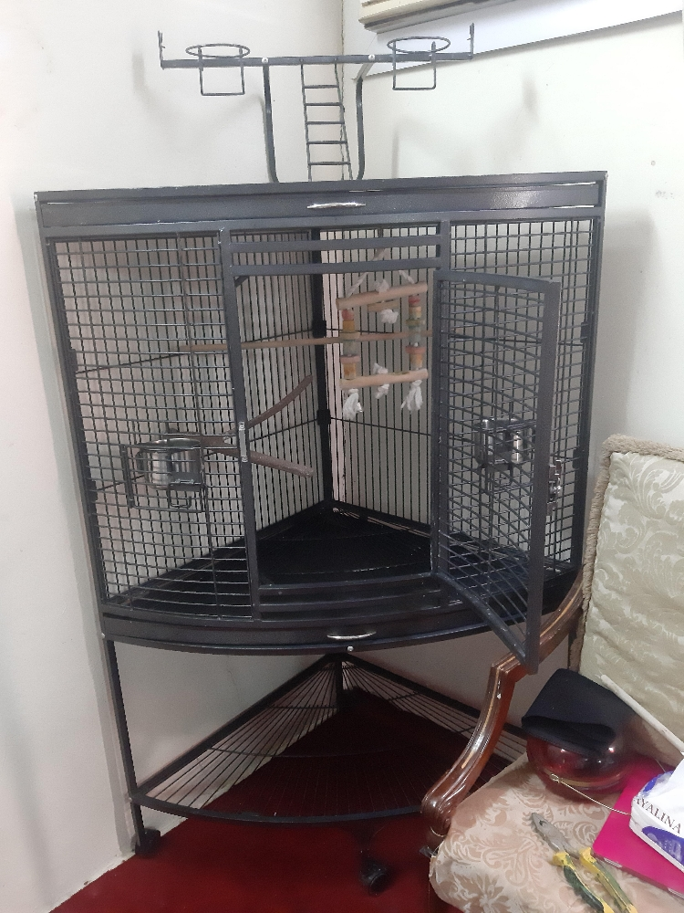 big parrot cage - 4
