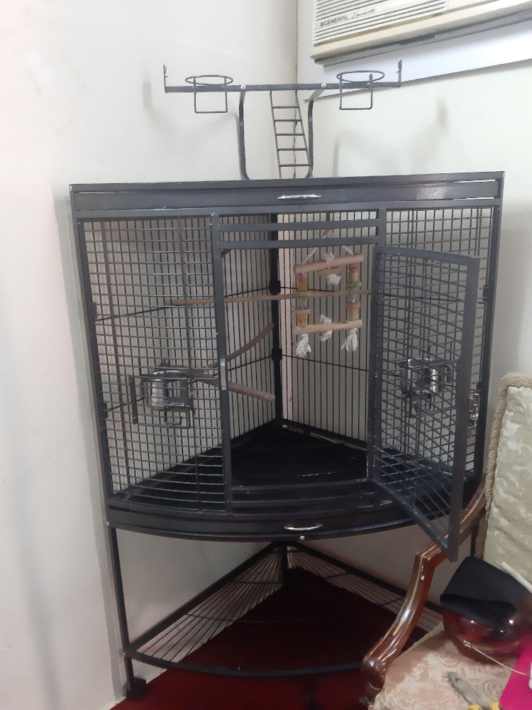 big parrot cage - 3