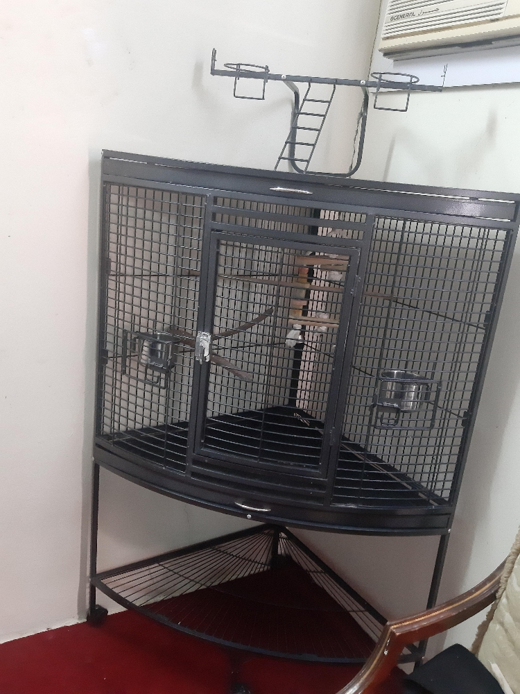 big parrot cage - 1