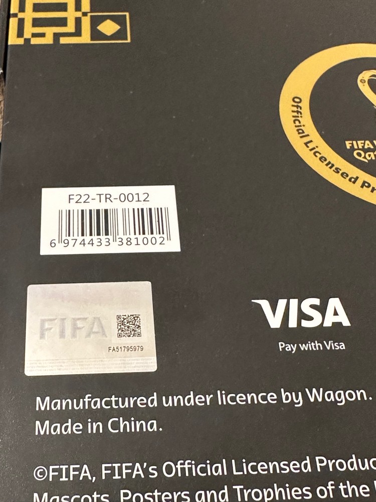 كاس العالم 2022 - 2