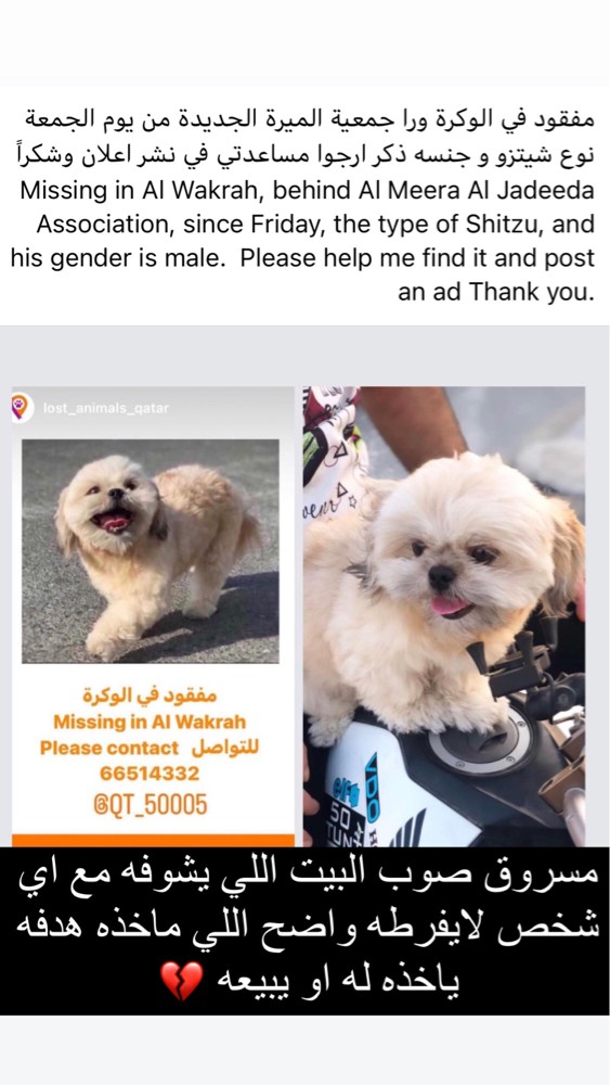 stolen - 2