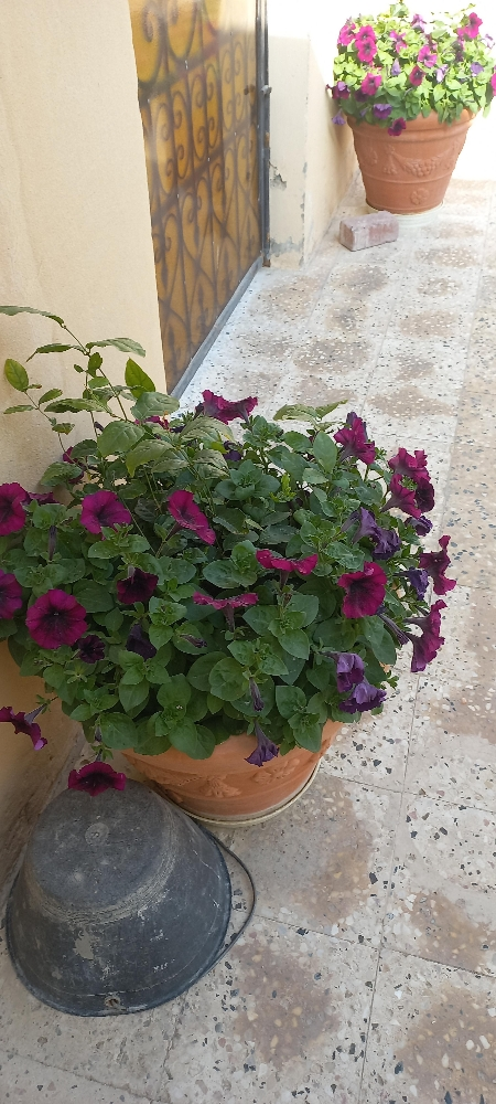 ورود - 3