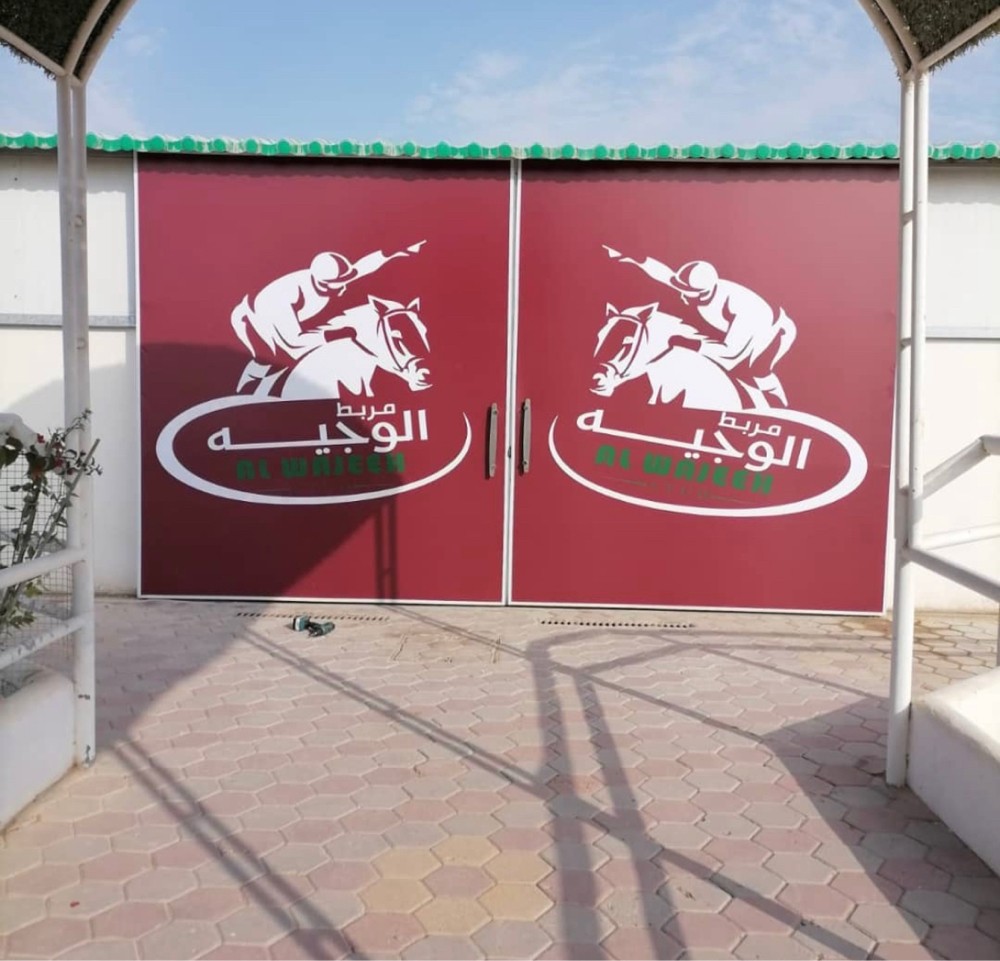 ستكر للسيارات والجدران - 6