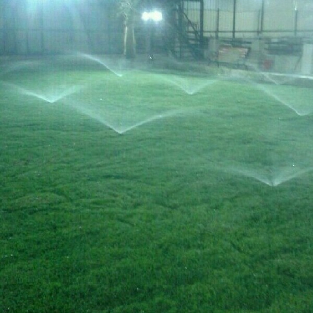 ‎‎‎‎‎‎‎زراعه - 1