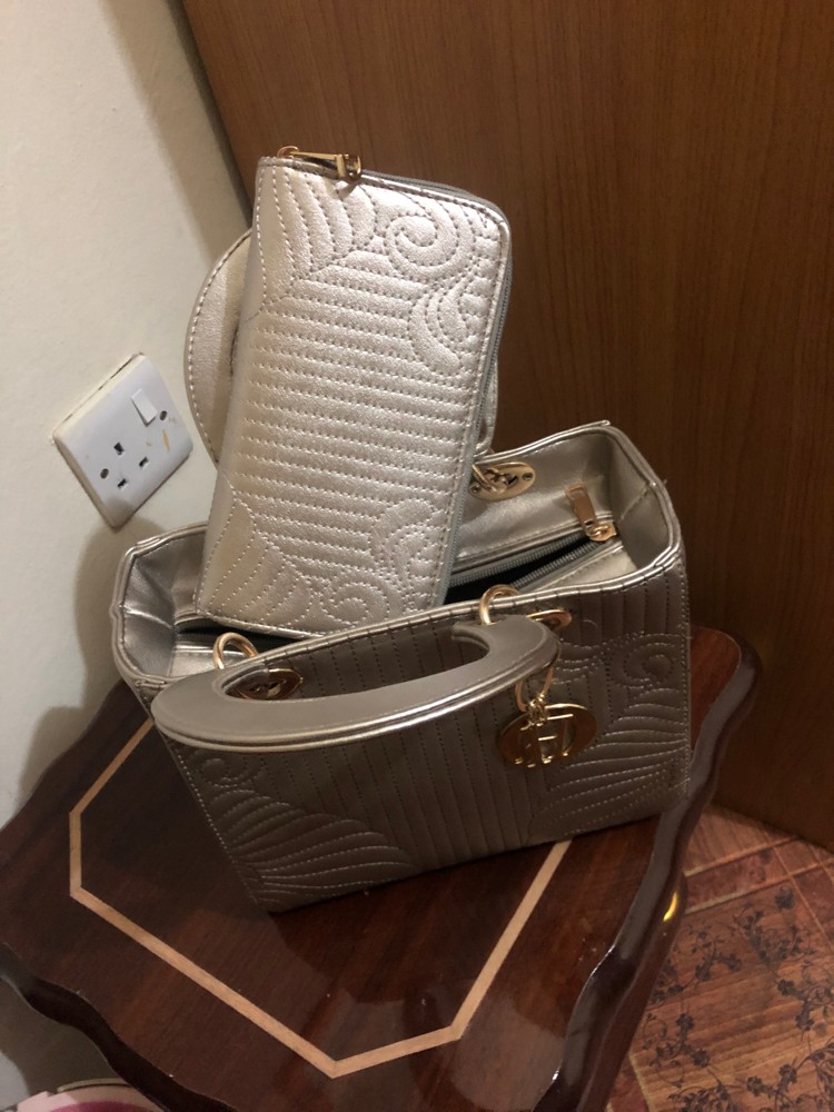 شنطه ديور - 4