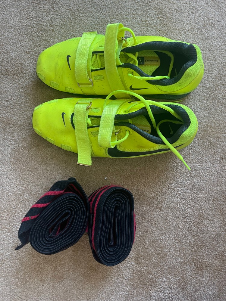 Shoe and Protector - 1