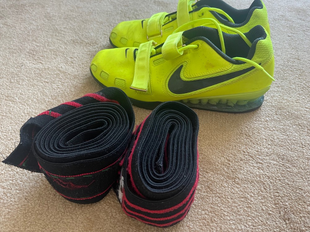 Shoe and Protector - 2