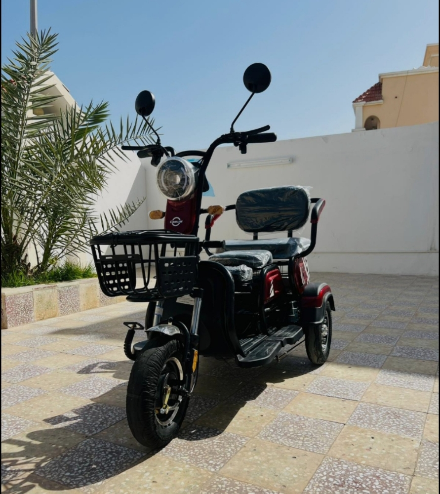 Electric Scooter 48volt 3wheels - 2
