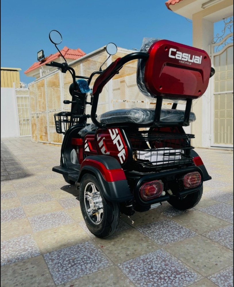 Electric Scooter 48volt 3wheels - 3