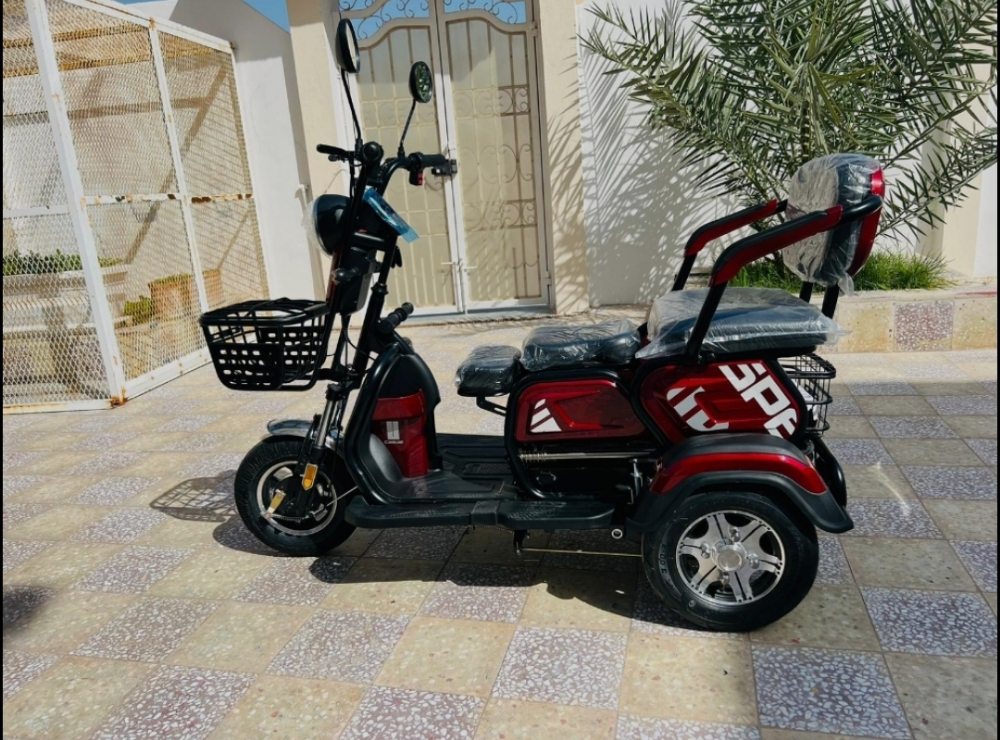 Electric Scooter 48volt 3wheels - 1