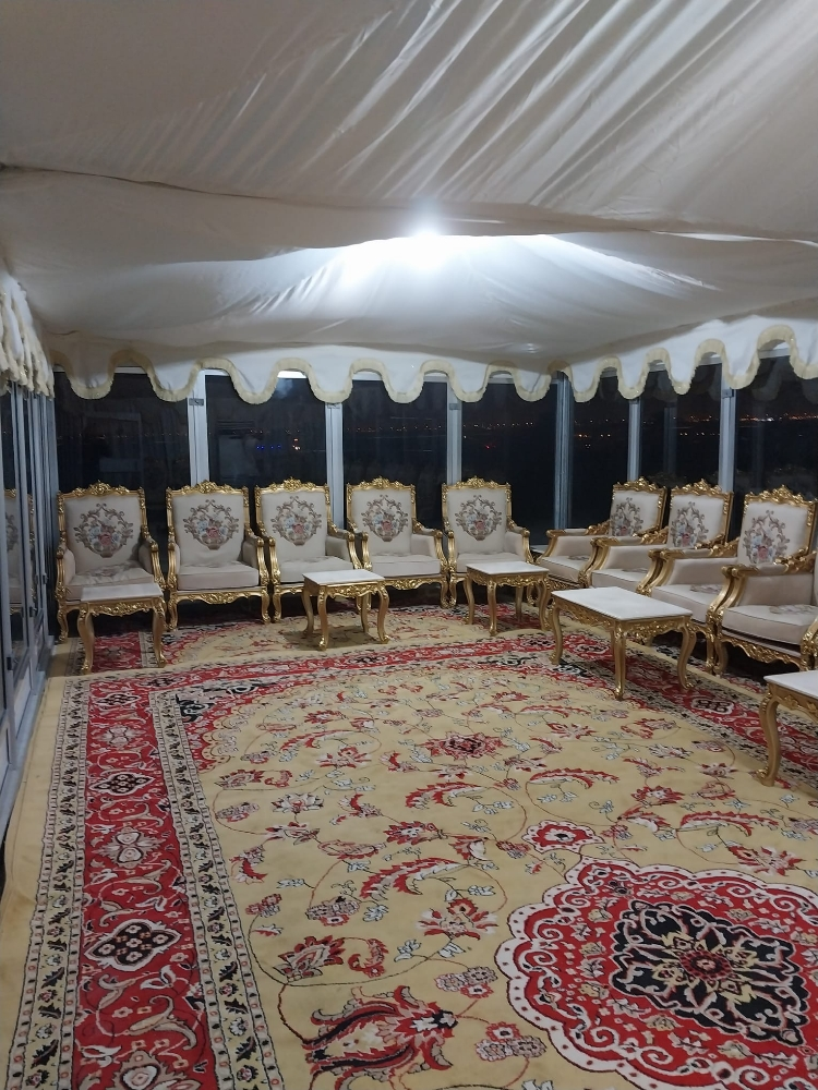 فرش في البيوت و القاعات - 3