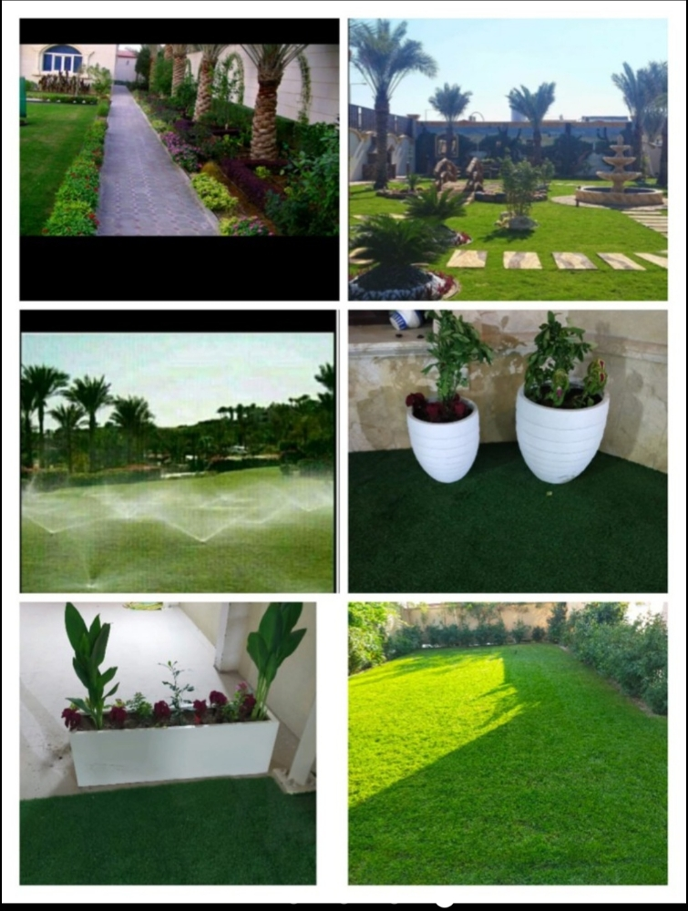 زرعة الحشاش - 2