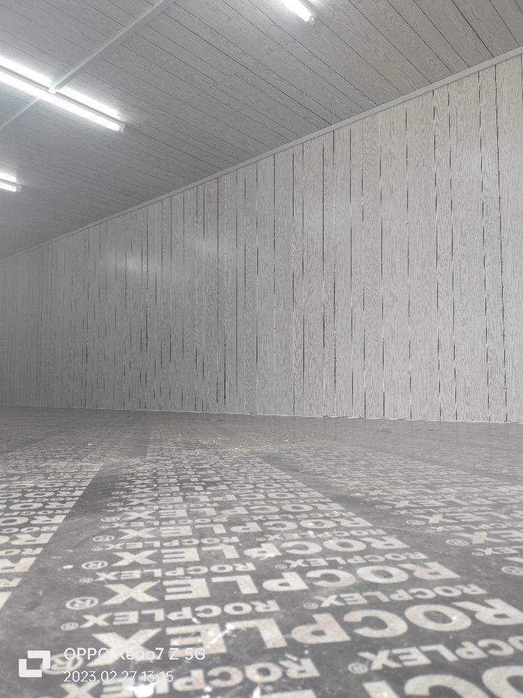 new store for sale 70408520 - 6