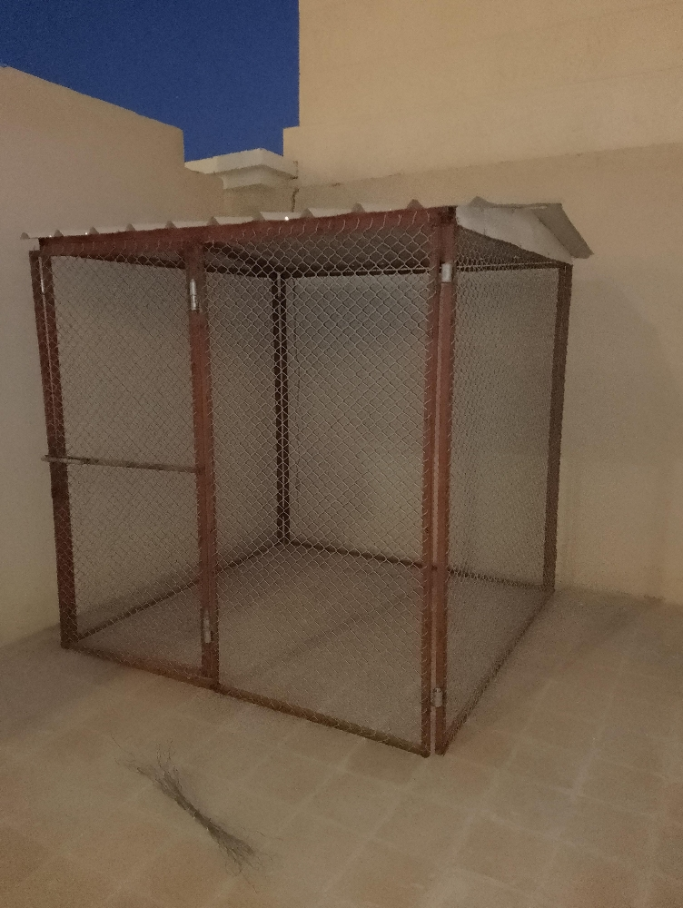كلب قفاص - 3