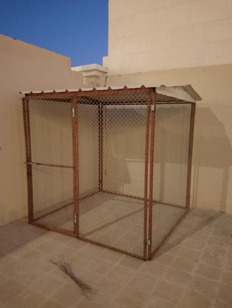 كلب قفاص - 2