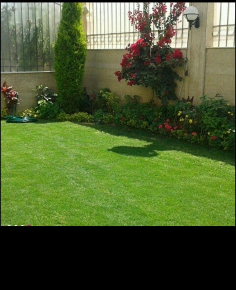 زرعة الاحوض - 4