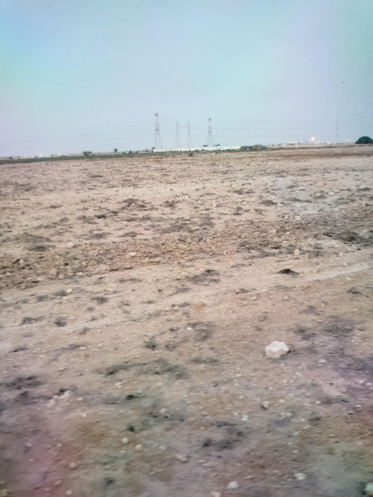 ارض زراعيه بالخور - 1