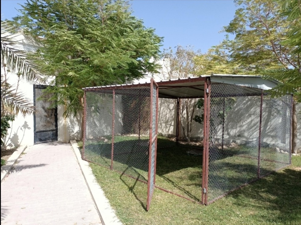 Cages - 5