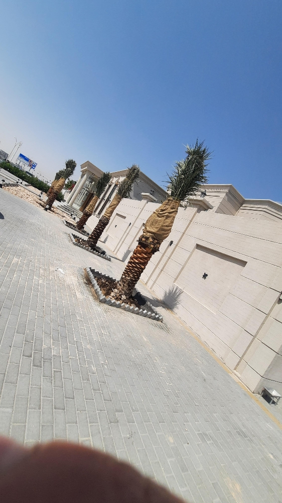للزراعة ‎‎‎‎‎‎‎نخل - 5