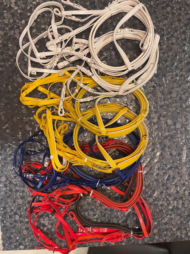 Bridle set with reins - 2