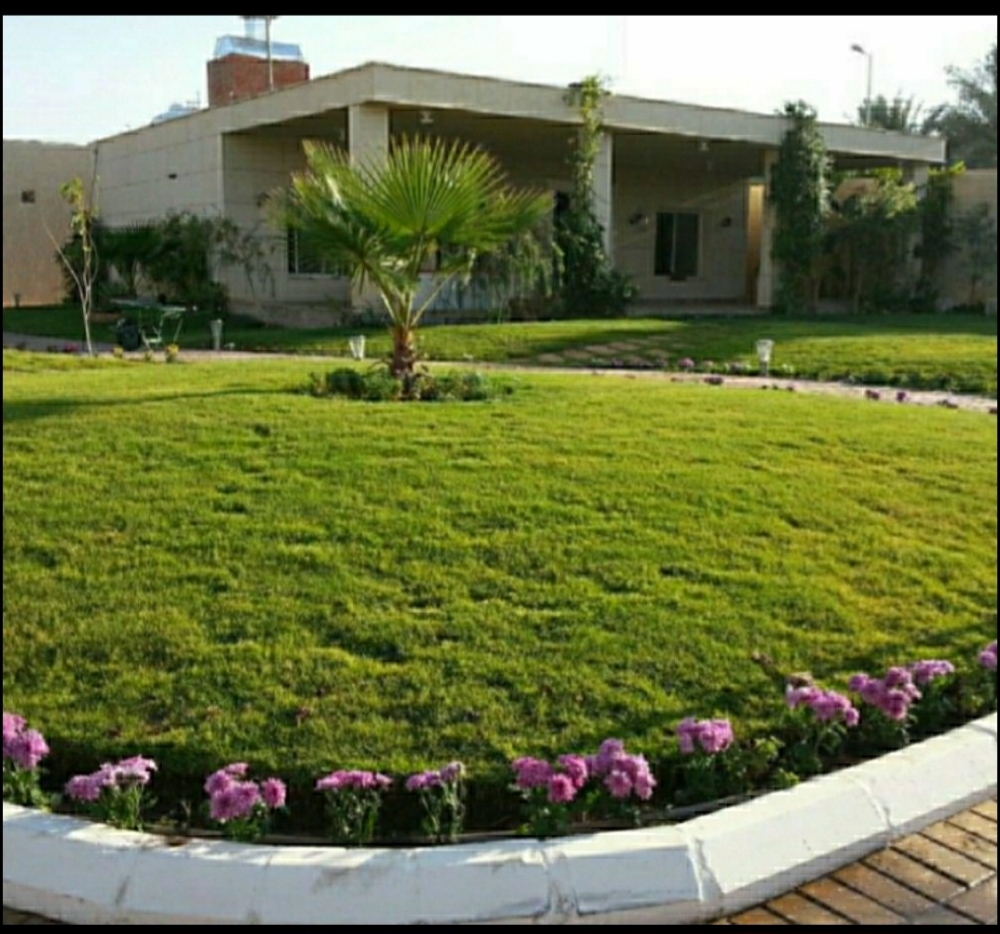 العنايه بالحديقة - 2