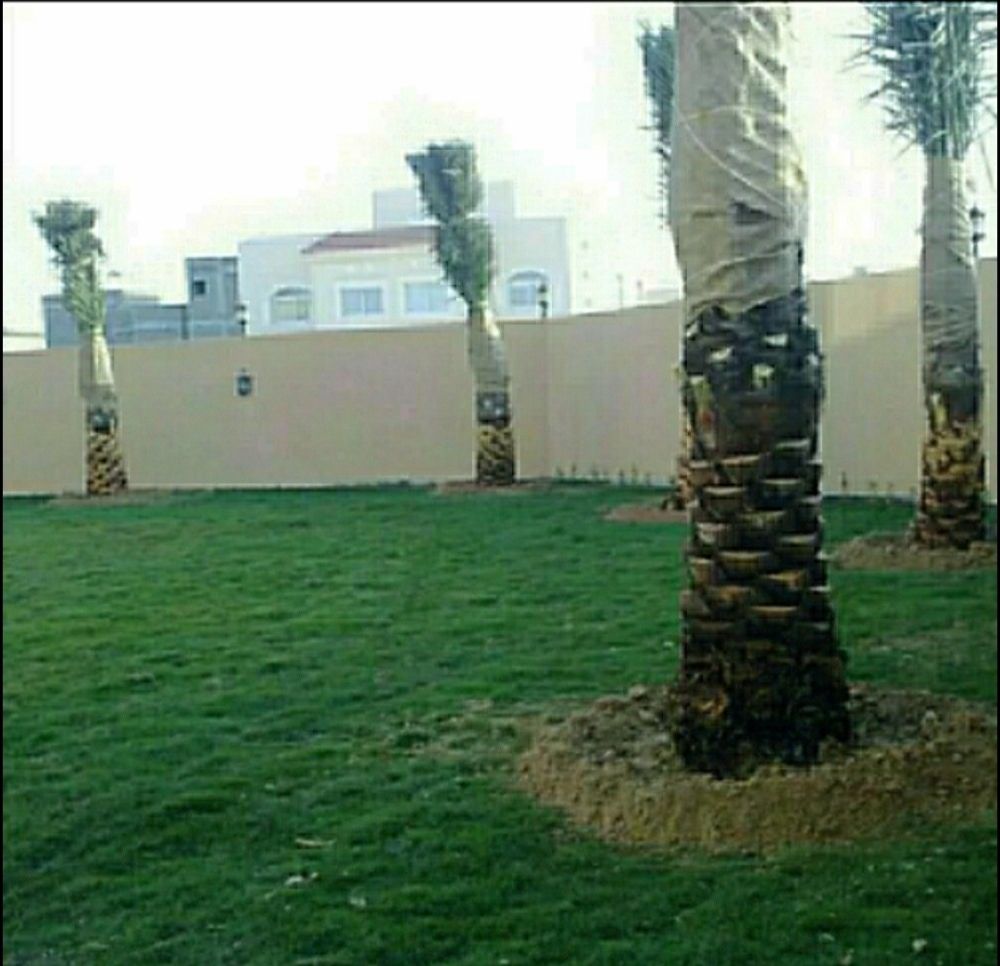 العنايه بالحديقة - 4