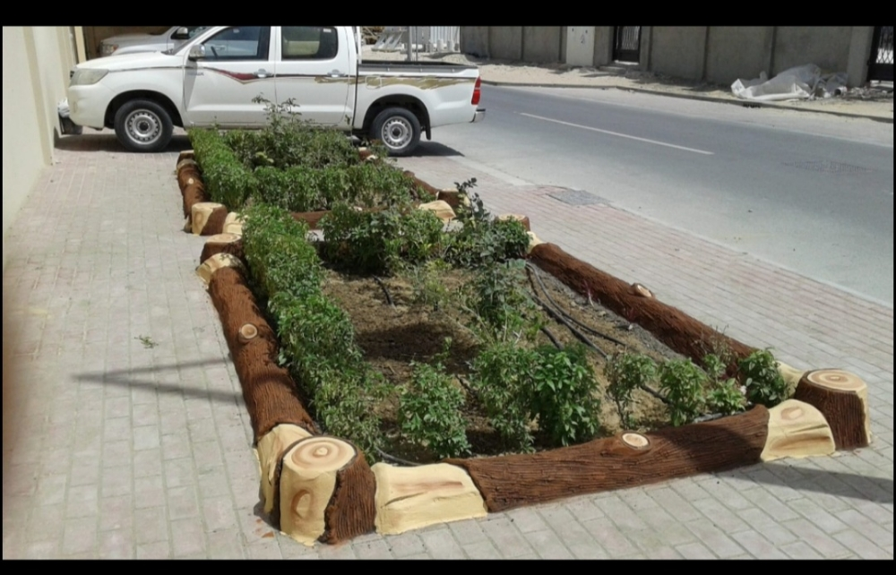 العنايه بالحديقة - 7