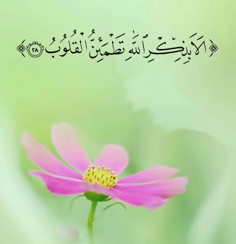 تركيب مظلات - 1