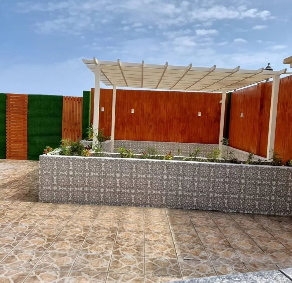 زراعه النخيل - 10