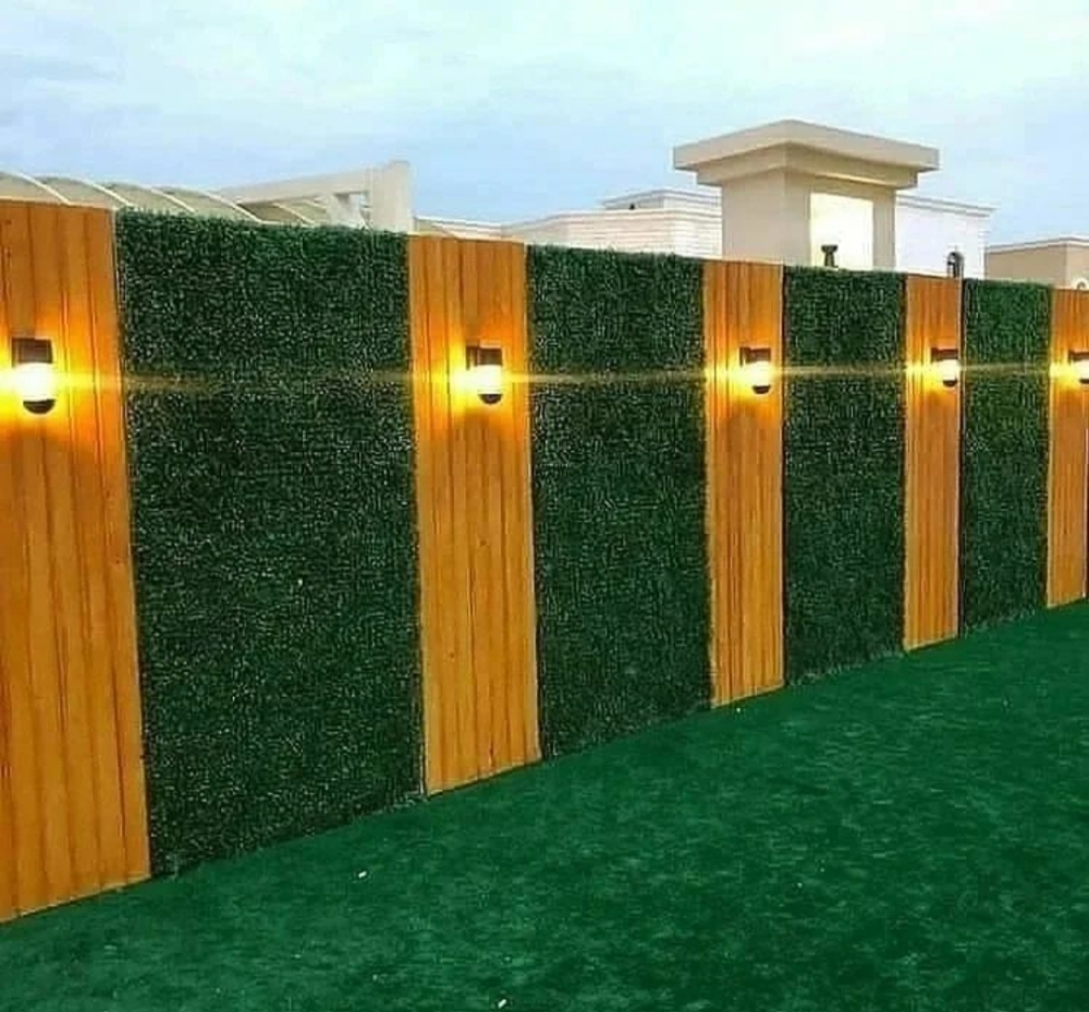زراعه النخيل - 11